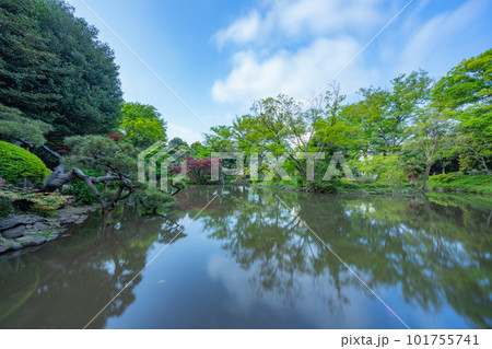 東京の公園の池と空 東京の公園の池と空 101755741