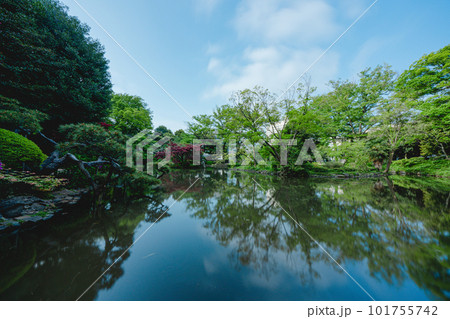 東京の公園の池と空 101755742
