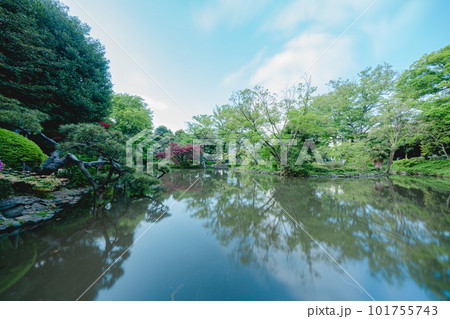 東京の公園の池と空 東京の公園の池と空 101755743