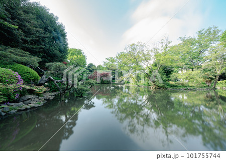 東京の公園の池と空 東京の公園の池と空 101755744