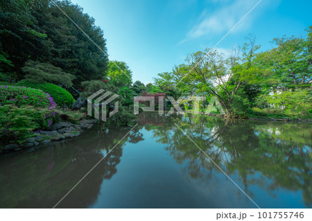 東京の公園の池と空 101755746