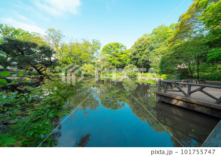 東京の公園の池と空 東京の公園の池と空 101755747