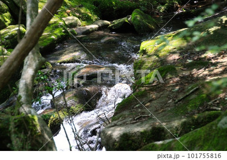 るり渓 るり渓 101755816