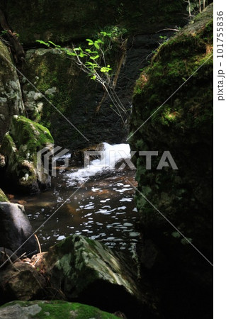 るり渓 101755836