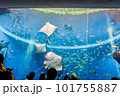 たくさんの魚が泳ぐ水族館の水槽 101755887