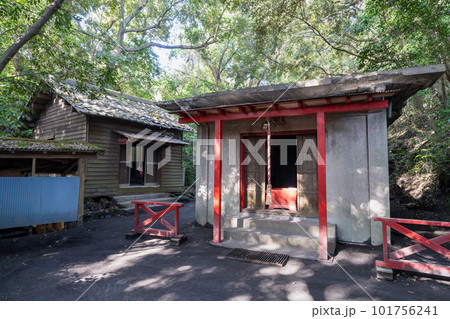 《鹿児島県》黒神埋没鳥居 （くろかみまいぼつとりい）・黒神神社 101756241