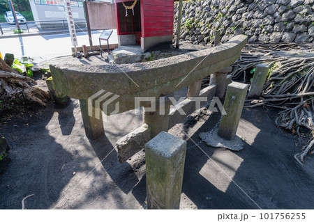 《鹿児島県》黒神埋没鳥居 （くろかみまいぼつとりい）・黒神神社 101756255
