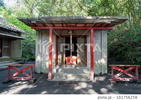 《鹿児島県》黒神埋没鳥居 （くろかみまいぼつとりい）・黒神神社 101756256