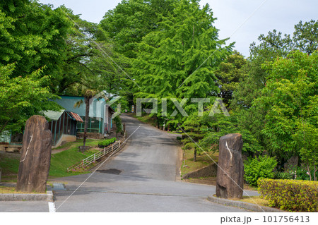 嘉多山公園　入口付近の風景　栃木県佐野市 101756413