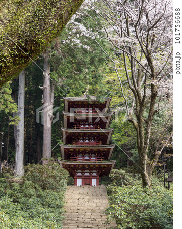 満開の桜が咲く春の女人高野室生寺 101756688