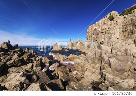 東尋坊の岩と海 101756730