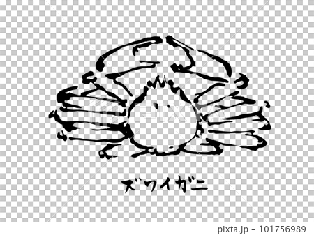 ズワイガニ イラスト 101756989
