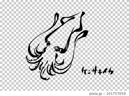 ケンサキイカ イラスト 101757059