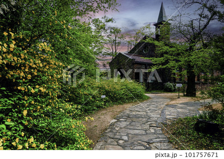 山吹咲く碌山美術館 山吹咲く碌山美術館 101757671