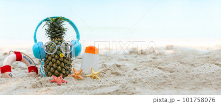 Summer in the party.  Hipster Pineapple Fashion in sunglass and listen music  101758076