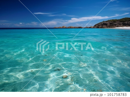 透明度抜群の海 101758783