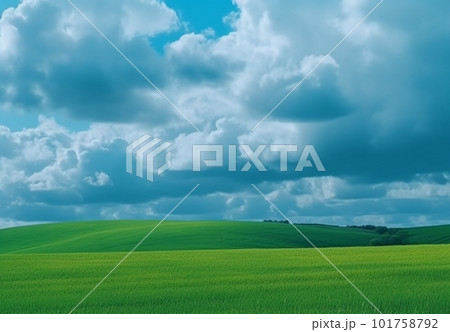 美しい緑の丘と夏空 美しい緑の丘と夏空 101758792