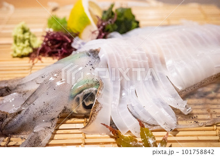 イカの活き造り イカの活き造り 101758842