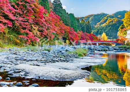 愛知 紅葉に染まる香嵐渓 101758865
