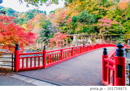愛知 紅葉に染まる香嵐渓 ~待月橋~ 愛知 紅葉に染まる香嵐渓 ~待月橋~ 101758873