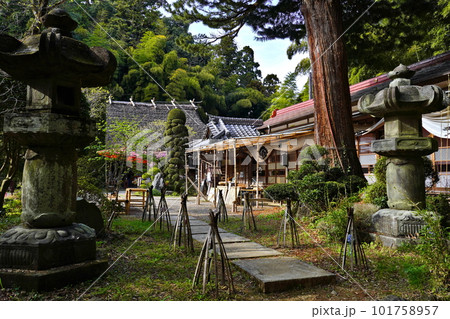 竹寺（八王寺）埼玉県飯能市 101758957
