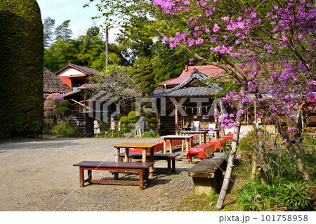 竹寺（八王寺）客殿　埼玉県飯能市 101758958