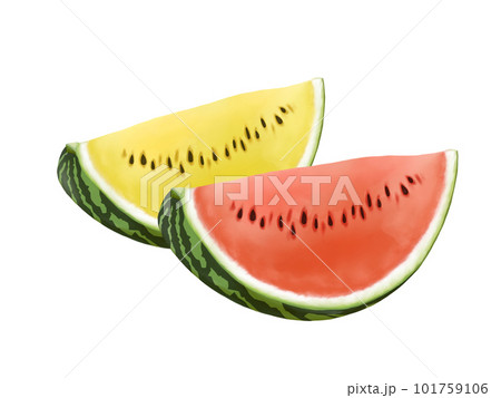 カットした赤色と黄色のスイカのリアルなイラスト（水彩） 101759106