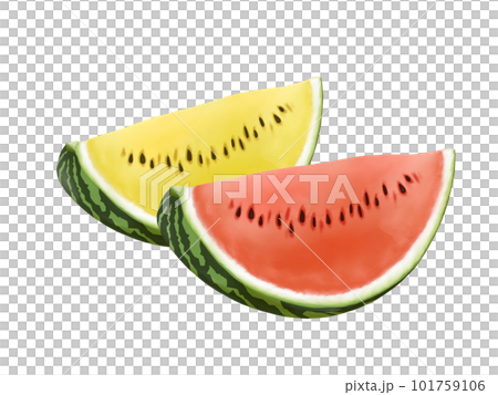 カットした赤色と黄色のスイカのリアルなイラスト（水彩） 101759106