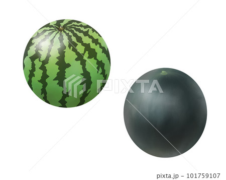 2種類(縞模様と黒皮)の丸ごとスイカのリアルなイラストセット(水彩) 2種類(縞模様と黒皮)の丸ごとスイカのリアルなイラストセット(水彩) 101759107