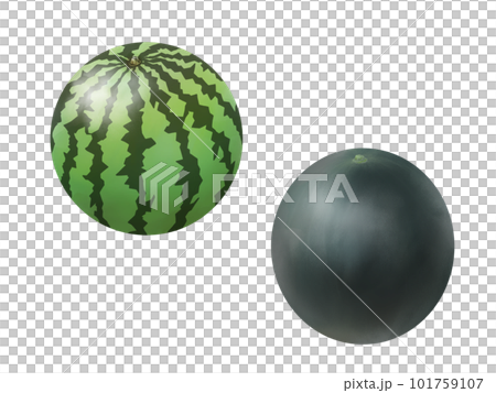 Two types (striped and black) whole watermelon realistic illustration set (watercolor) Two types (striped and black) whole watermelon realistic illustration set (watercolor) 101759107