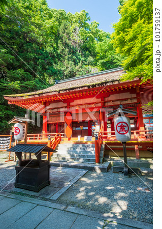 金刀比羅宮(こんぴらさん):白峰神社 金刀比羅宮(こんぴらさん):白峰神社 101759137