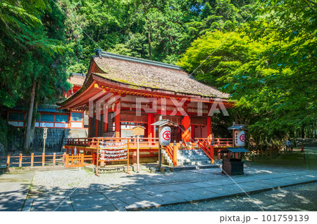 金刀比羅宮(こんぴらさん):白峰神社 金刀比羅宮(こんぴらさん):白峰神社 101759139