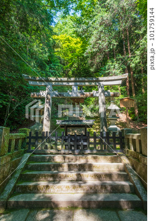 金刀比羅宮(こんぴらさん):菅原神社 金刀比羅宮(こんぴらさん):菅原神社 101759144