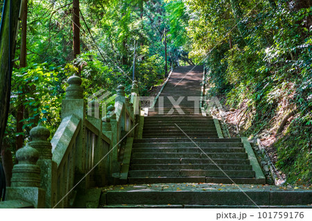 金刀比羅宮（こんぴらさん）：奥社への参道 101759176