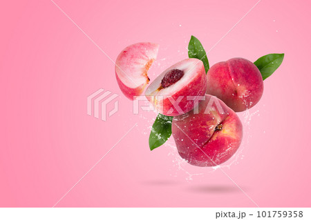Creative layout made from whole and slice of Ripe juicy peaches fruit and water Splashing on a pink background 101759358