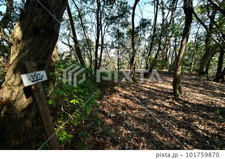 備前「徳倉城」の高石垣と曲輪群 101759870