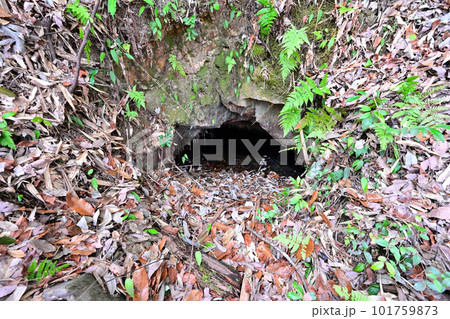 備前「徳倉城」の高石垣と曲輪群 101759873