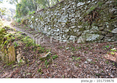 備前「徳倉城」の高石垣と曲輪群 101759876