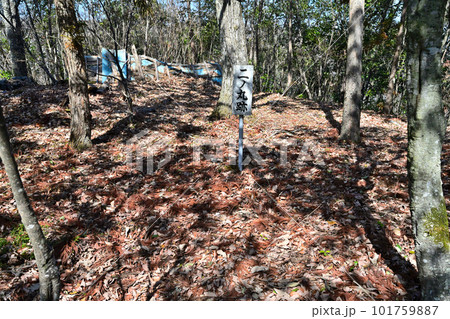 備前「徳倉城」の高石垣と曲輪群 101759887