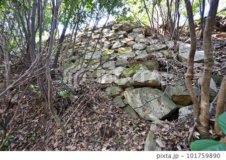 備前「徳倉城」の高石垣と曲輪群 101759890