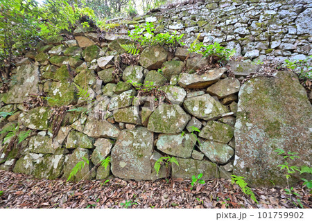 備前「徳倉城」の高石垣と曲輪群 101759902