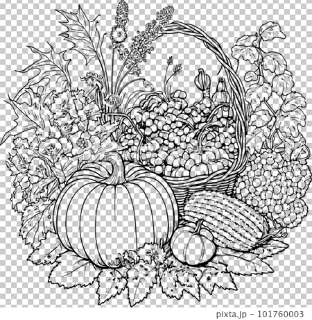 Coloring book with flowers, fruits. Hand drawn zentangle and mandala style,PNG, Transparency, 101760003