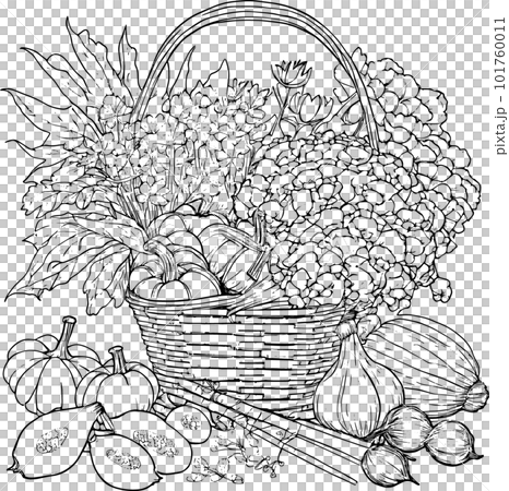Coloring book with flowers, fruits. Hand drawn zentangle and mandala style,PNG, Transparency, Coloring book with flowers, fruits. Hand drawn zentangle and mandala style,PNG, Transparency, 101760011