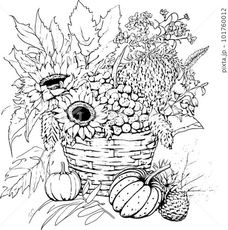 Coloring book with flowers, fruits. Hand drawn zentangle and mandala style,PNG, Transparency, Coloring book with flowers, fruits. Hand drawn zentangle and mandala style,PNG, Transparency, 101760012