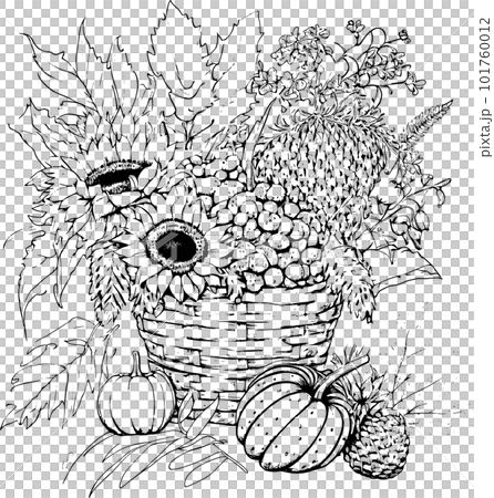Coloring book with flowers, fruits. Hand drawn zentangle and mandala style,PNG, Transparency, Coloring book with flowers, fruits. Hand drawn zentangle and mandala style,PNG, Transparency, 101760012
