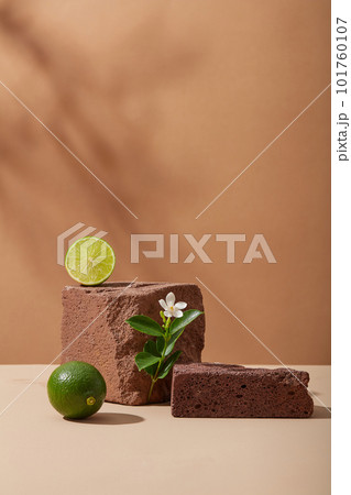 Minimal style for product presentation with dark stone podiums, halves of lime and small flower branch on brown background with natural shadow leaves. Space for display cosmetic of lime extract 101760107