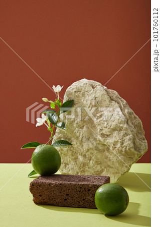 Blank background with dark stone podium, rock, fresh limes, tree branch with green leaves and white flower on color background. Space for cosmetic product presentation. Natural extract with vitamin C 101760112