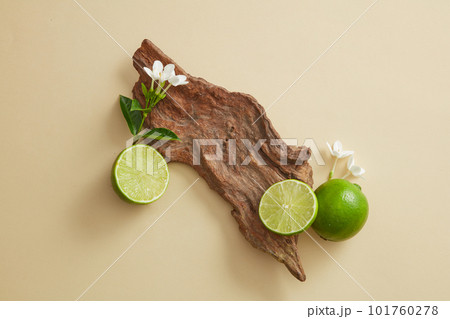 A big tree branch decorated with Lime slices and small flowers. Empty space on tree branch can be used to show your cosmetic product of Lime (Citrus aurantiifolia) extract 101760278