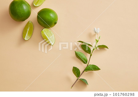 A branch of white flower is decorated on pastel background with some Lime slices. Lime (Citrus aurantiifolia) essential oil is used for a variety of skin conditions, including acne skin 101760298