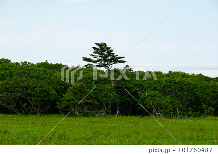 涙岬展望台から見た風景 涙岬展望台から見た風景 101760487